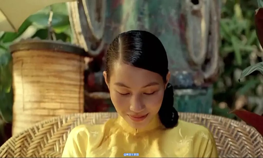 原声电影分享十四越南电影青木瓜之味